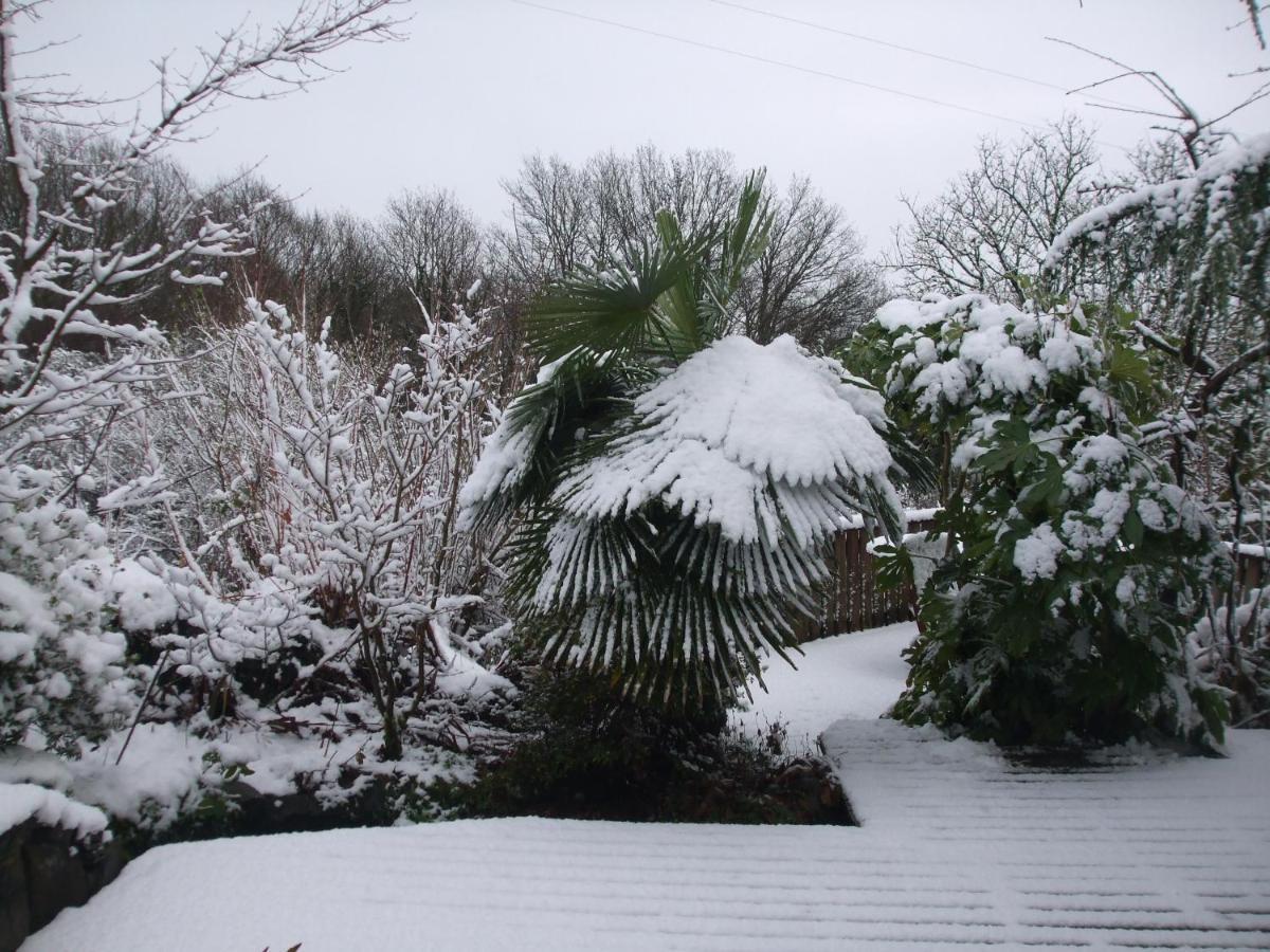 Cwmbach Guest House Neath Esterno foto