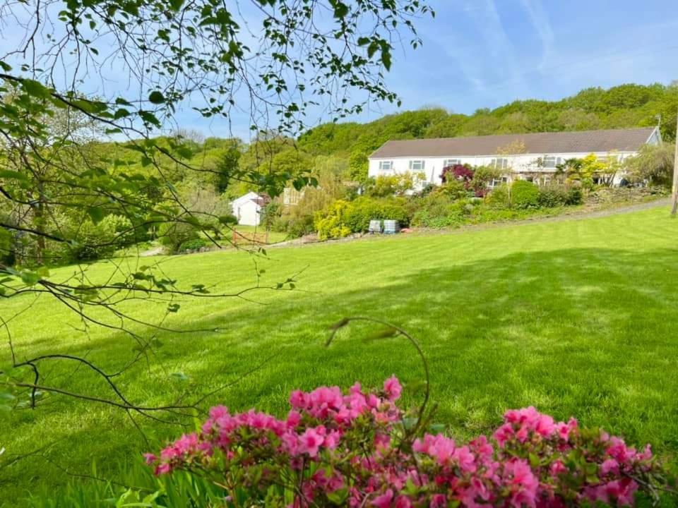 Cwmbach Guest House Neath Camera foto