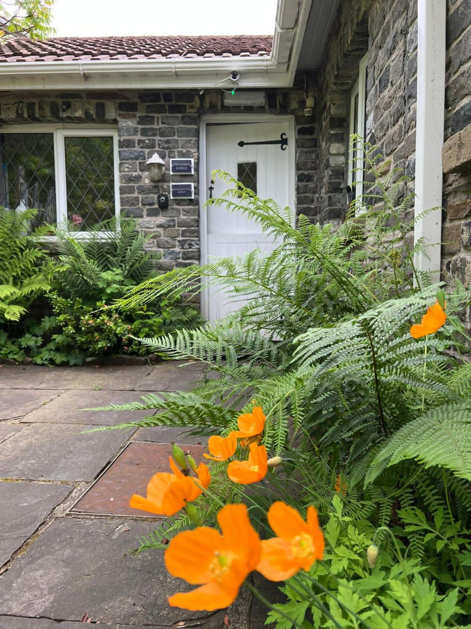 Cwmbach Guest House Neath Esterno foto