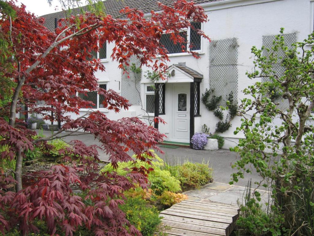Cwmbach Guest House Neath Esterno foto